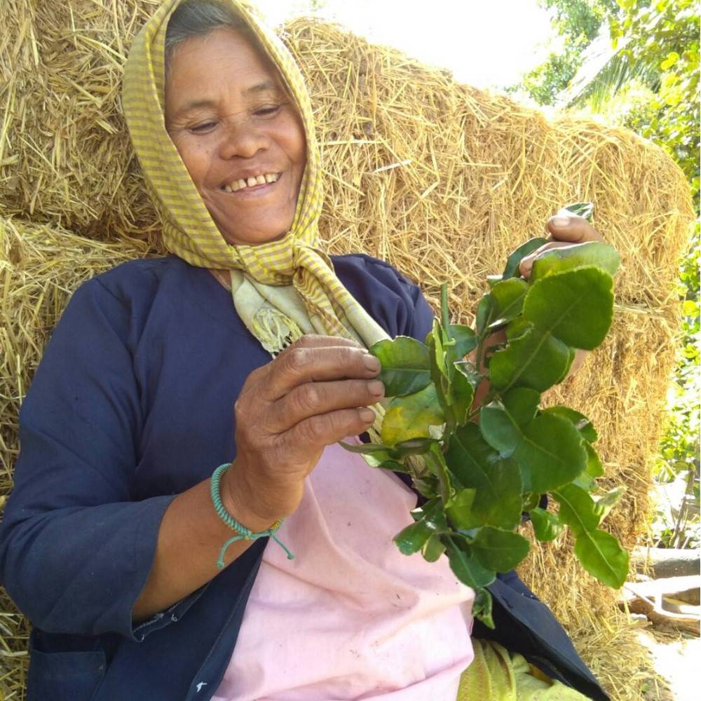 Description of image 1