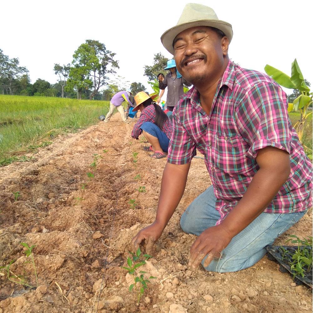 Description of image 2