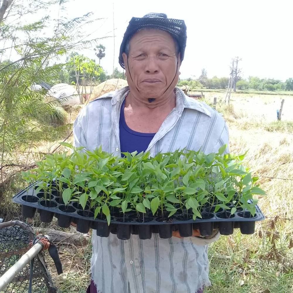 Description of image 4